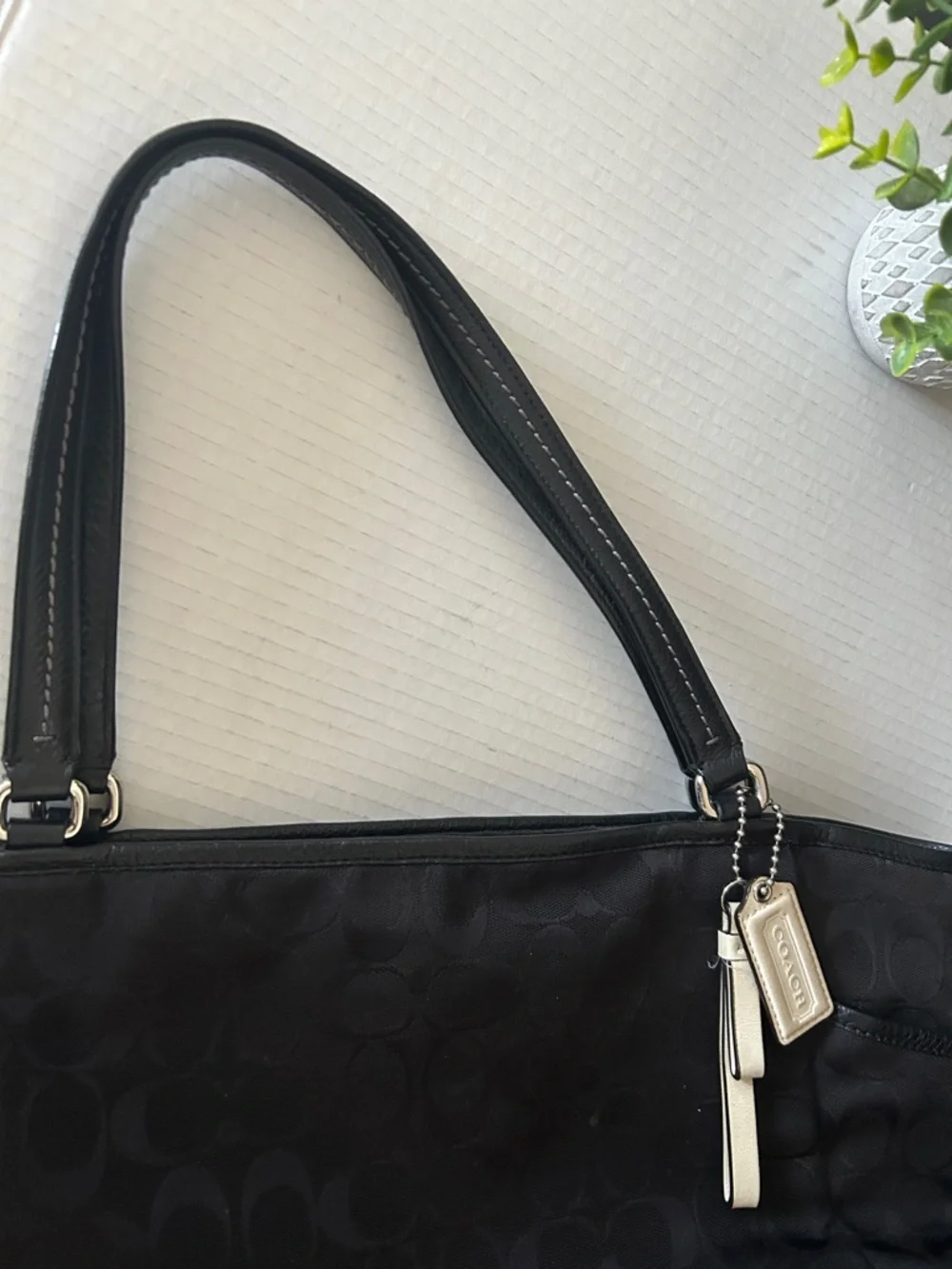 COACH Park Signature Carrie Tote Handbag.
